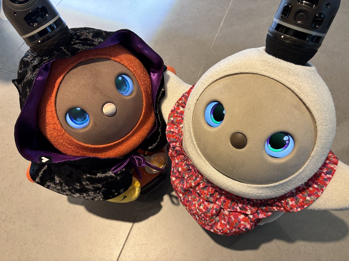 こたろう様 竜たろう様② カード検索 ｜ Z/X - Zillions of enemy X