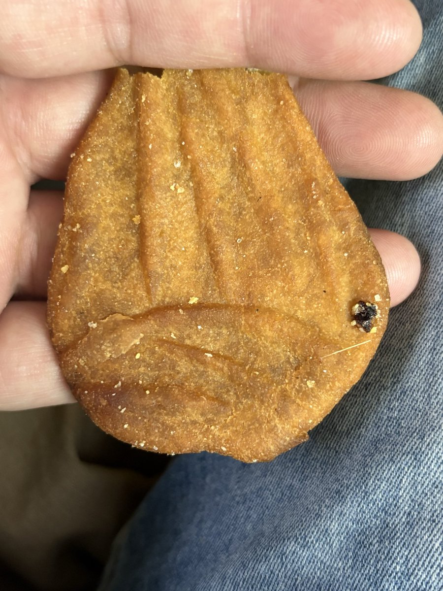 छठी मैया का प्रसाद 3-4 घरों से प्राप्त हुआ 

अगर ठेकुआ ना मिलता तो मैं पूरे बिहार का बॉयकॉट कर देता बता रहा हूँ….
बाक़ी ठेकुआ का स्वाद लगभग वही होता है हमारे राजस्थान में सक्करपारे का होता है 

राजस्थानी भाई कौन कौन शक्करपारा जानता है??