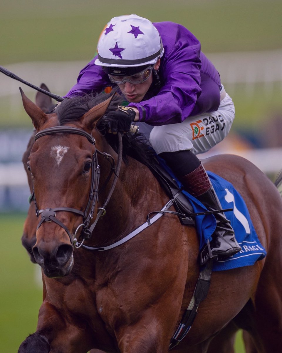 Amo Racing tweet media