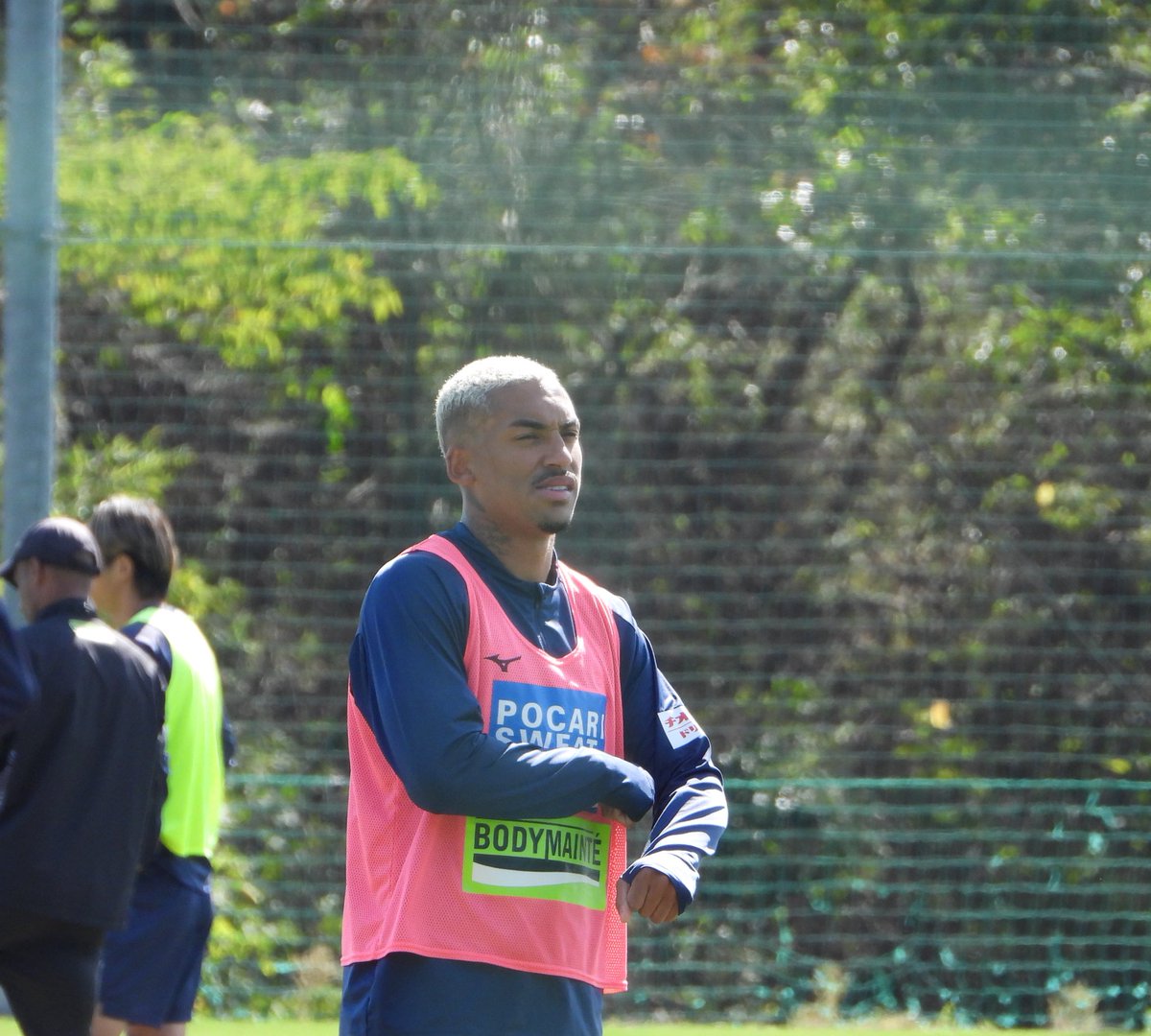 徳島ボルティスビッグフラッグ グラス (@deco_arshavin) / Posts / X