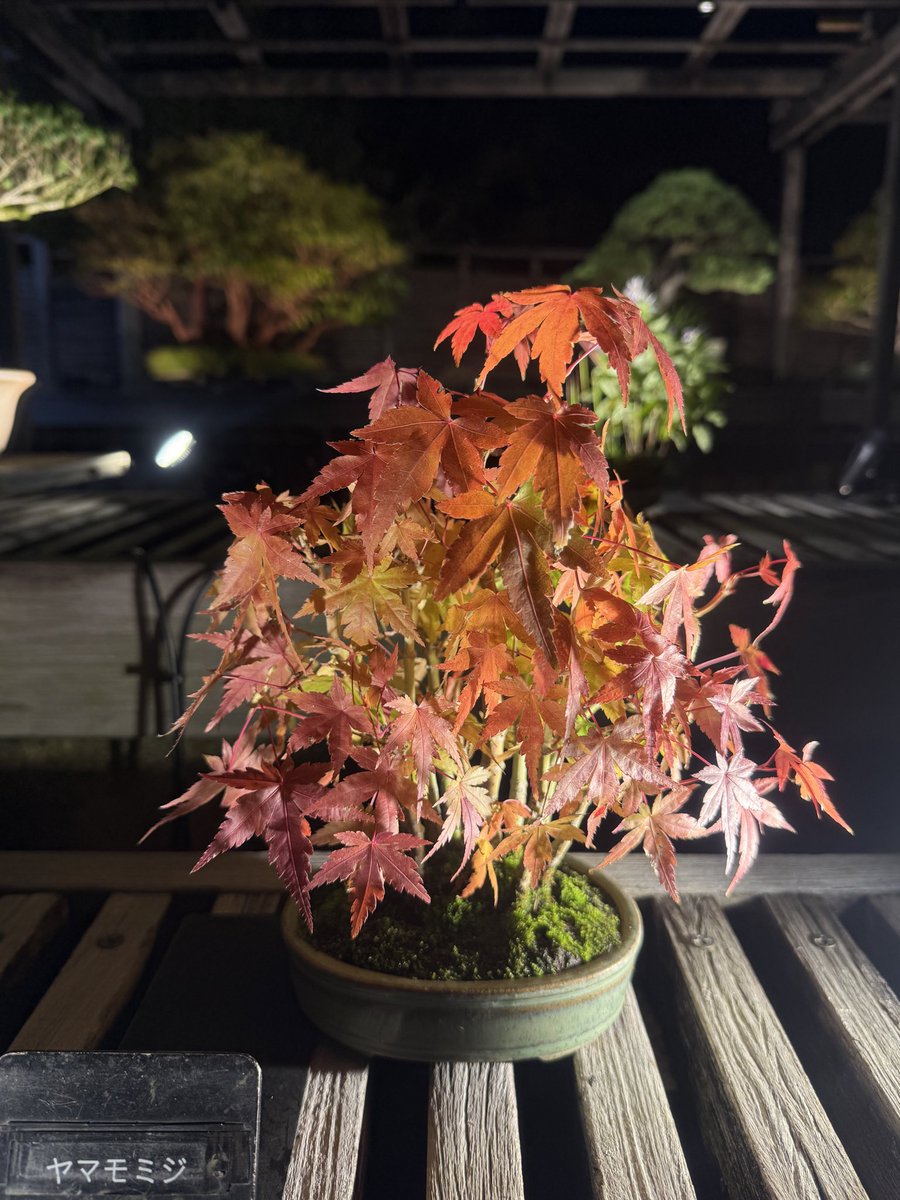 さとさん サト(satoosato) on X