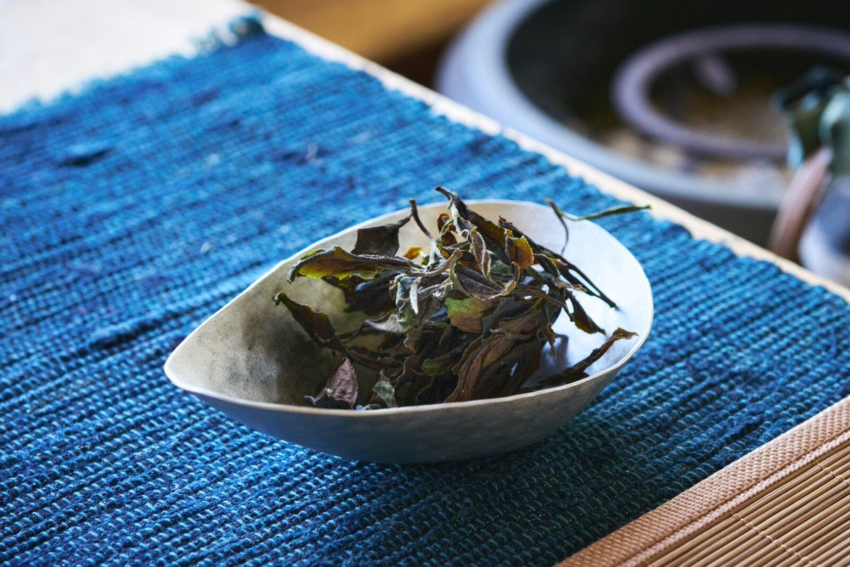 台湾原生の山茶をルーツに持つ三重の幻の茶樹「F4」を知っていますか？

Jikonkaでは、「F4」の茶葉を全て手摘みし、白茶と紅茶を作っているそう。

微発酵させた葉で淹れたお茶を味わってみると、えも言われぬ芳しさと奥深い味わいに驚きます。

その魅力の秘密とは🌿
digthetea.com/2024/07/jikonk…