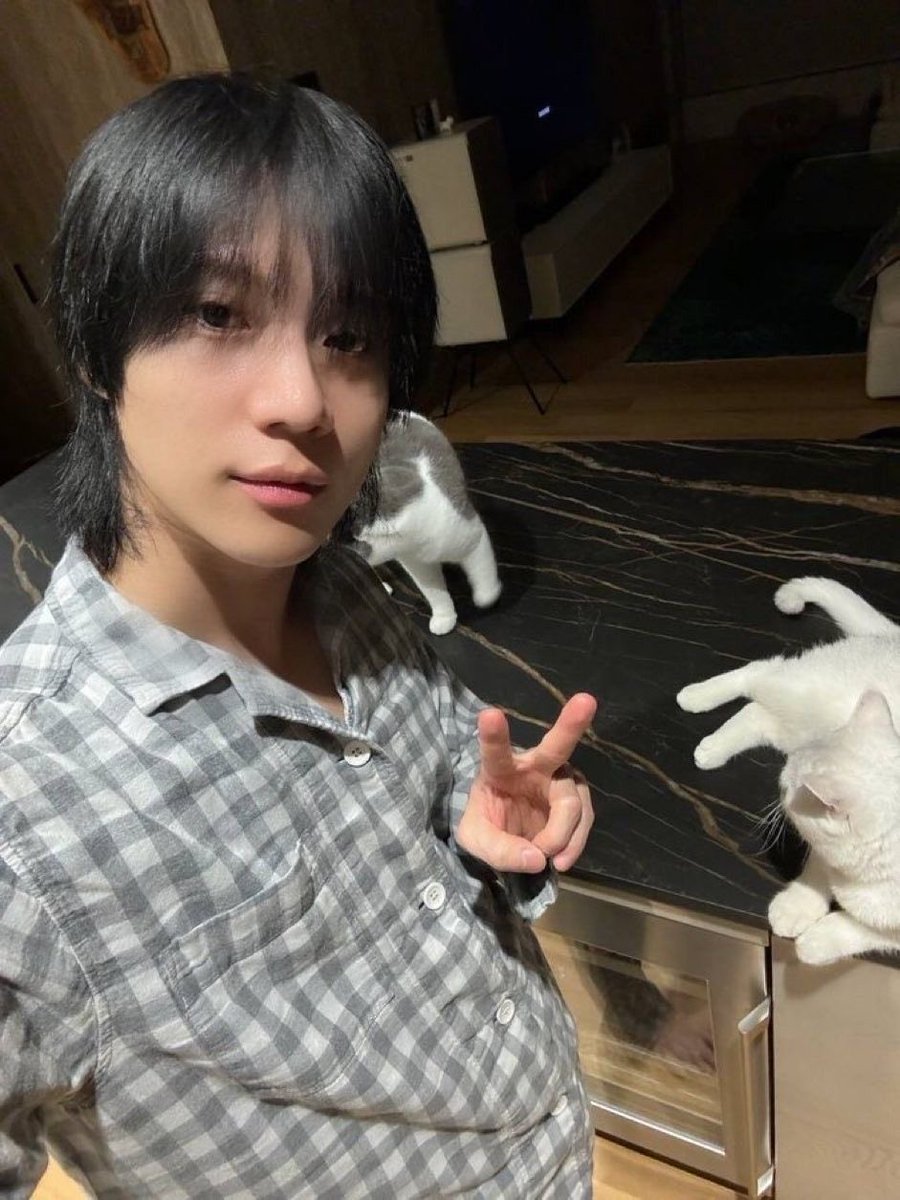 idtaemni's tweet photo. NATIONAL CAT DAY! THREE CATS! CAT FAMILY! https://t.co/LrNwE7Ohg6