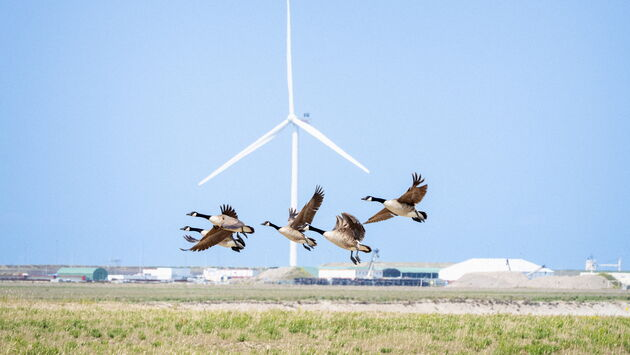 europawire's tweet photo. #PortofRotterdam Unveils Long-Term #NatureVision to Foster Harmony Between Industry and #Ecology https://t.co/syqBg7UodY #restoration #conservation #nature #biodiversity #Rhine #Meuse @PortOfRotterdam @museumnaturalis https://t.co/4lditjEWNt