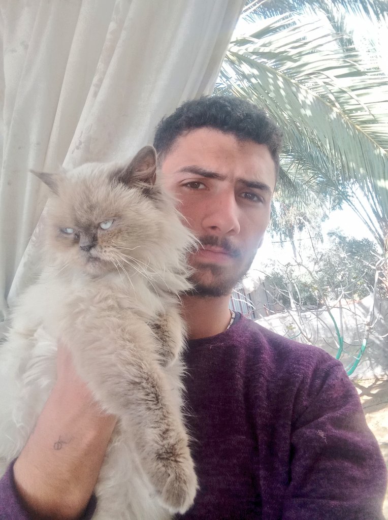 abod in Gaza🇵🇸 tweet media