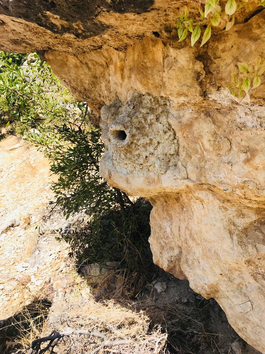 Dersim Gazetesi yazarı Mehmet Ali Yıldız'dan bir hafıza yazısı:

➡️ Bu Toprakların Gerçek Sahipleri: Hafızanın ve Direnişin İzinde Dersim

dersimgazetesi.net/kose-yazilari/…