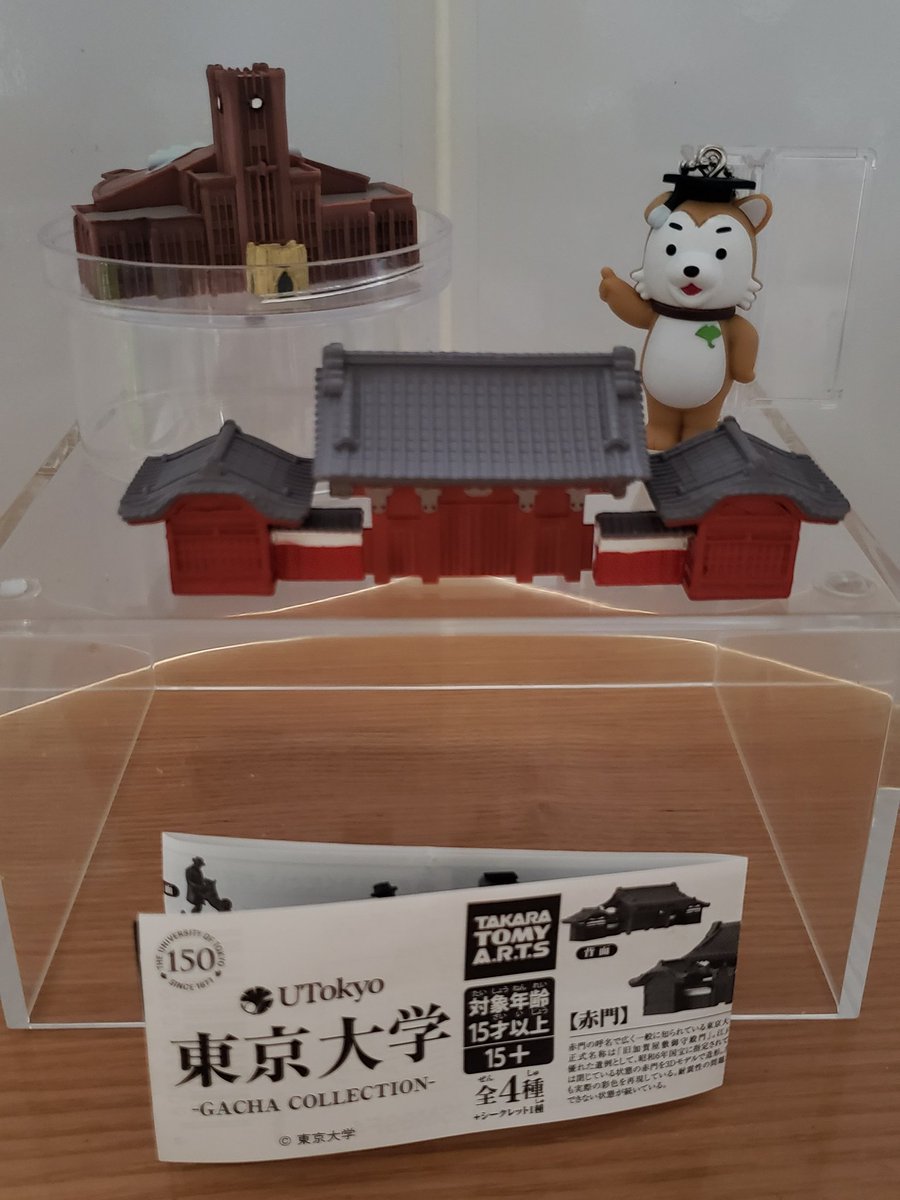 Mirai 🌈✨ (@Mirai_colorful) / Posts / X