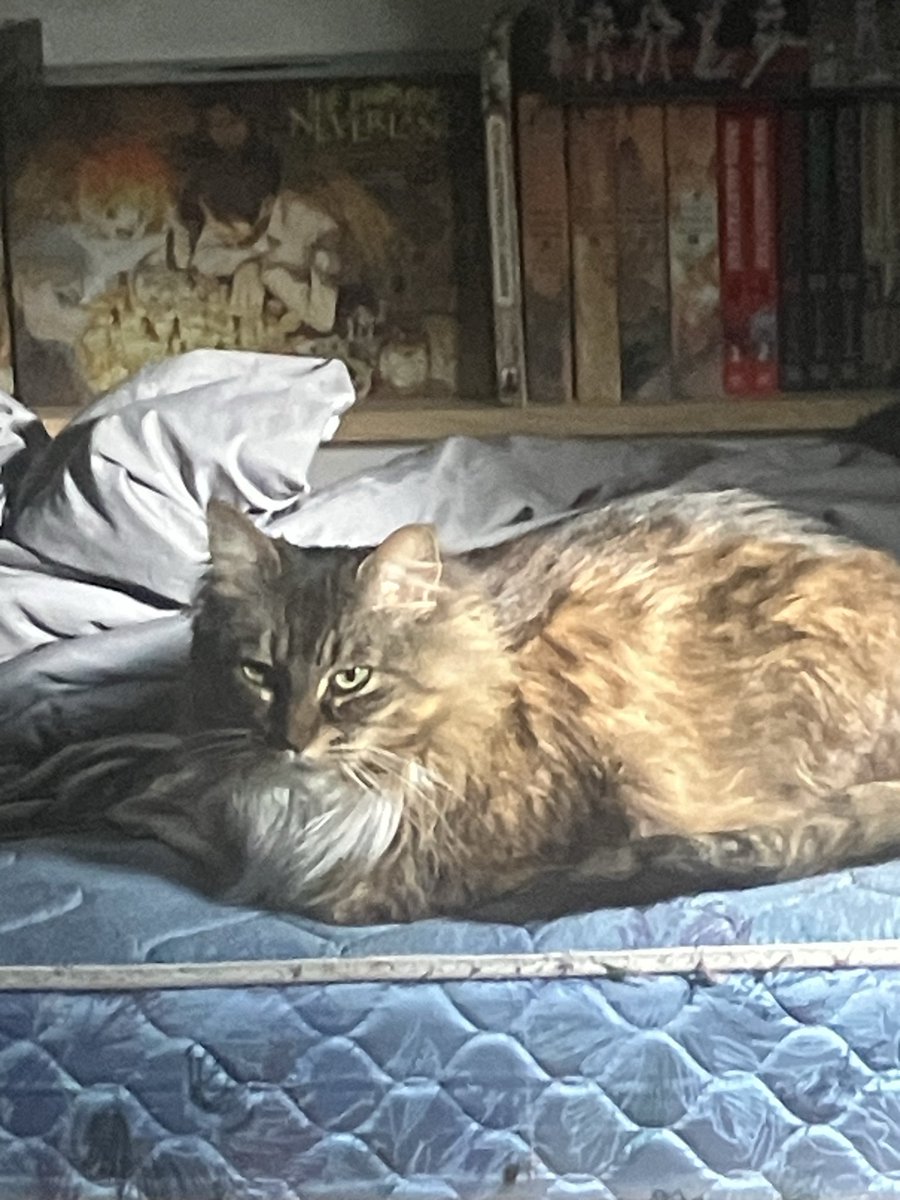 Raiden (@raidenlord24) on Twitter photo 