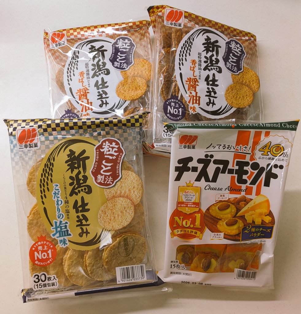 まめちゃん。 CM撮影in愛知県 豆柴 まめちゃん - ペットモデル・動物