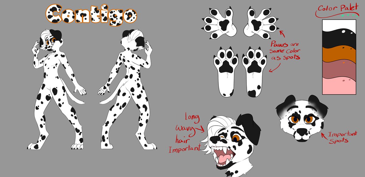 ContigoVR tweet media