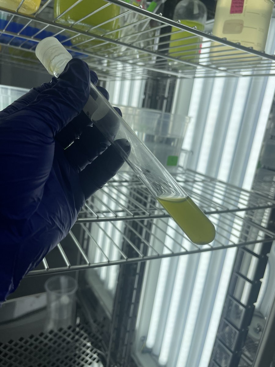 Facultad de Ciencias UCSC tweet media