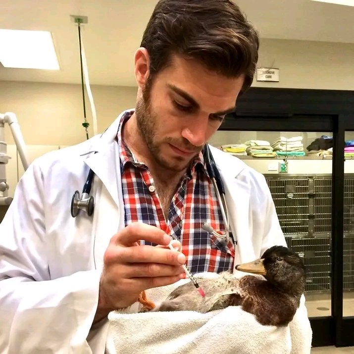 ust_van95180's tweet photo. @TrumpWarRoom “As your trusted veterinary expert 🩺🐾, I provide care advice and offer healthy, well-bred pet dogs for sale anytime 🐕✨. Message me for expert help or dog inquiries 📩—your pet’s well-being matters most ❤️.” https://t.co/ftJWjdBJ9x