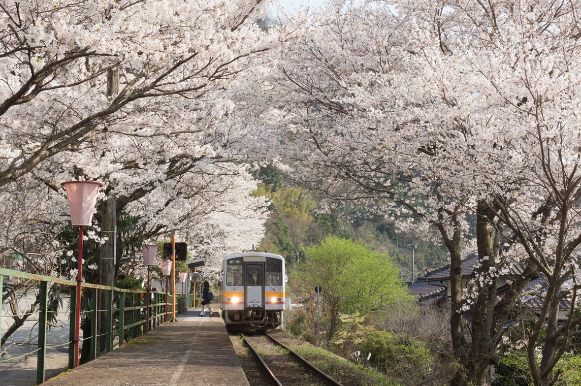 amarin2's tweet image. 会社を見る 👦