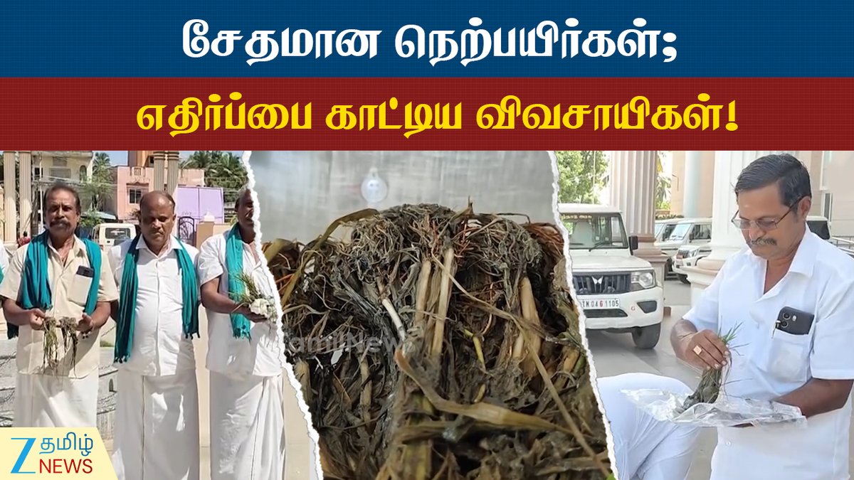 ZeeTamilNews's tweet photo. நெற்பயிர்களுடன் வெளிநடப்பு செய்த விவசாயிகள்!
#Farmers #WalkedOut #RiceCrops #mayiladuthurai #district #grievanceredressalmeeting #Protest #TamilNews #ZeeTamilNews
https://t.co/50cLxyJFrB https://t.co/4DqKz8qtEX