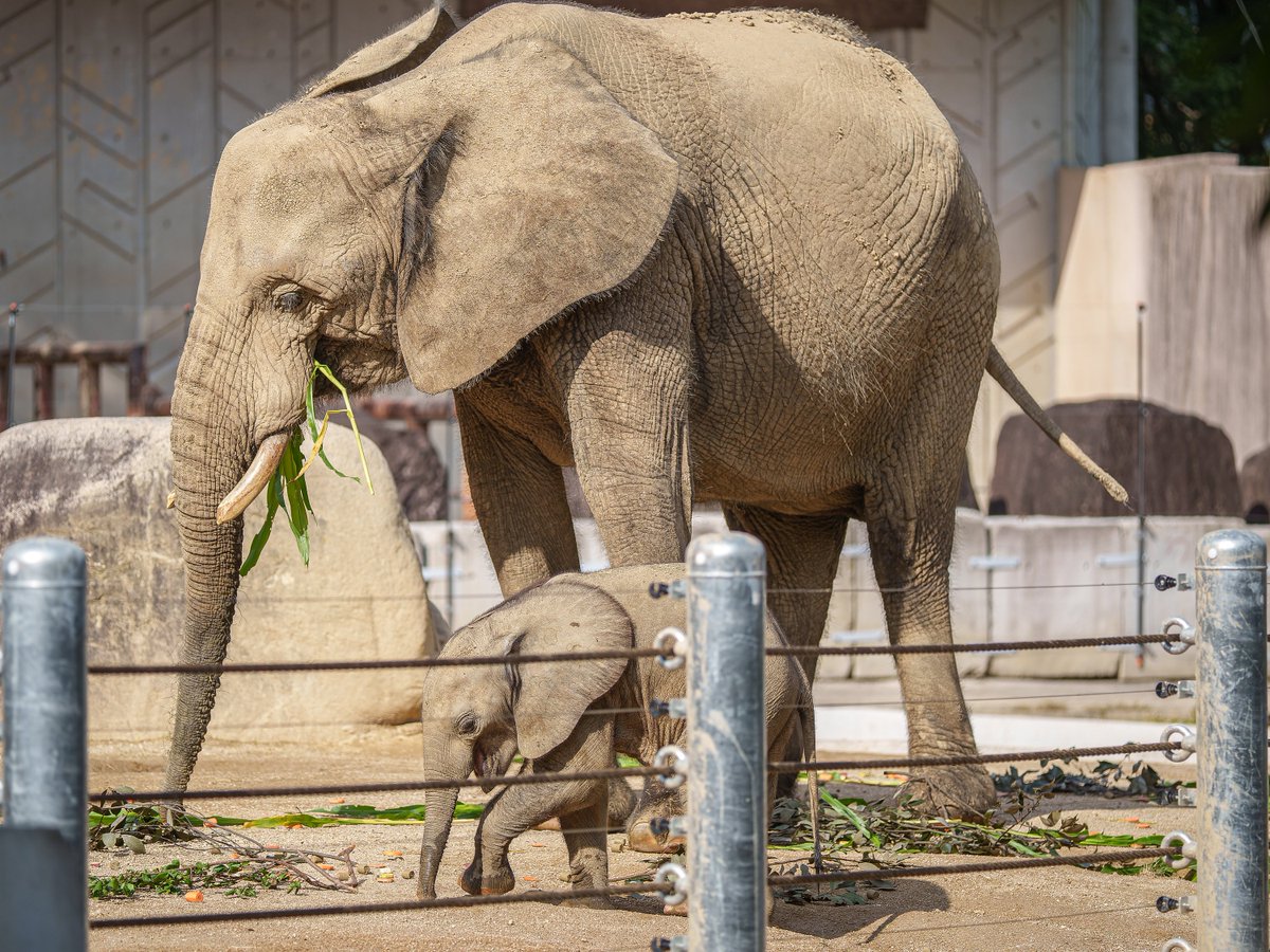 マスオページ $_12.JPG?set_id=880000500F