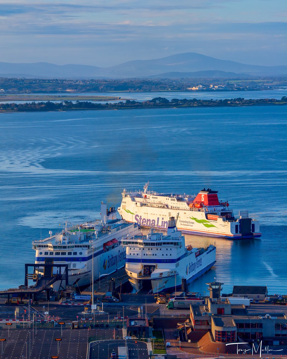 Tony Mullen Photography tweet media