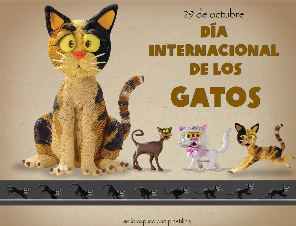 altereddie's tweet image. 29 de octubre. Día Internacional del Gato.
📷 Si tienes la suerte de compartir tu vida con un gatito, ¡hoy es el día para presumirlo! 📷📷
Enséñanos el tuyo📷📷📷📷