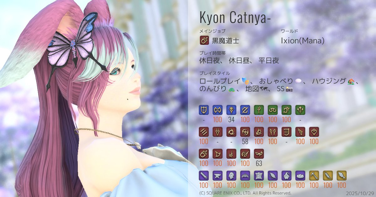 きょん🐈💕 tweet media