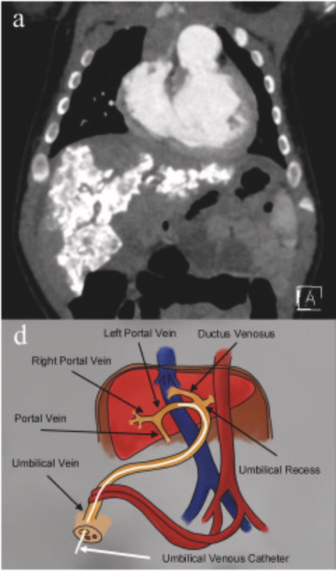 NicuPocus tweet media