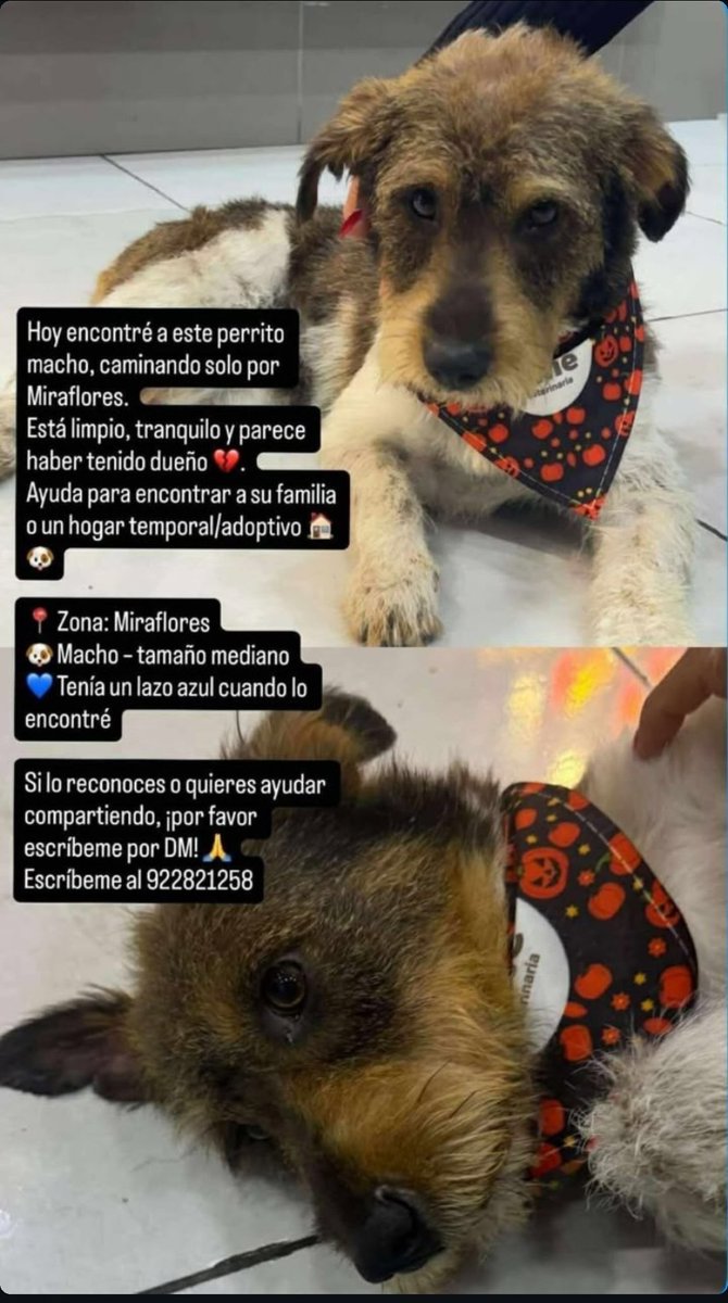 Me acaba de aparecer esta historia.
Ayudemos a encontrar a su familia 🫶