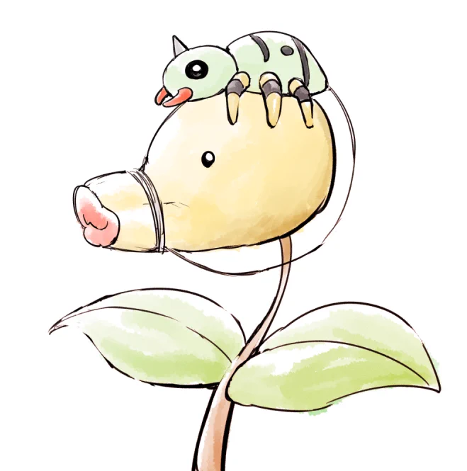 メガマダツボミ