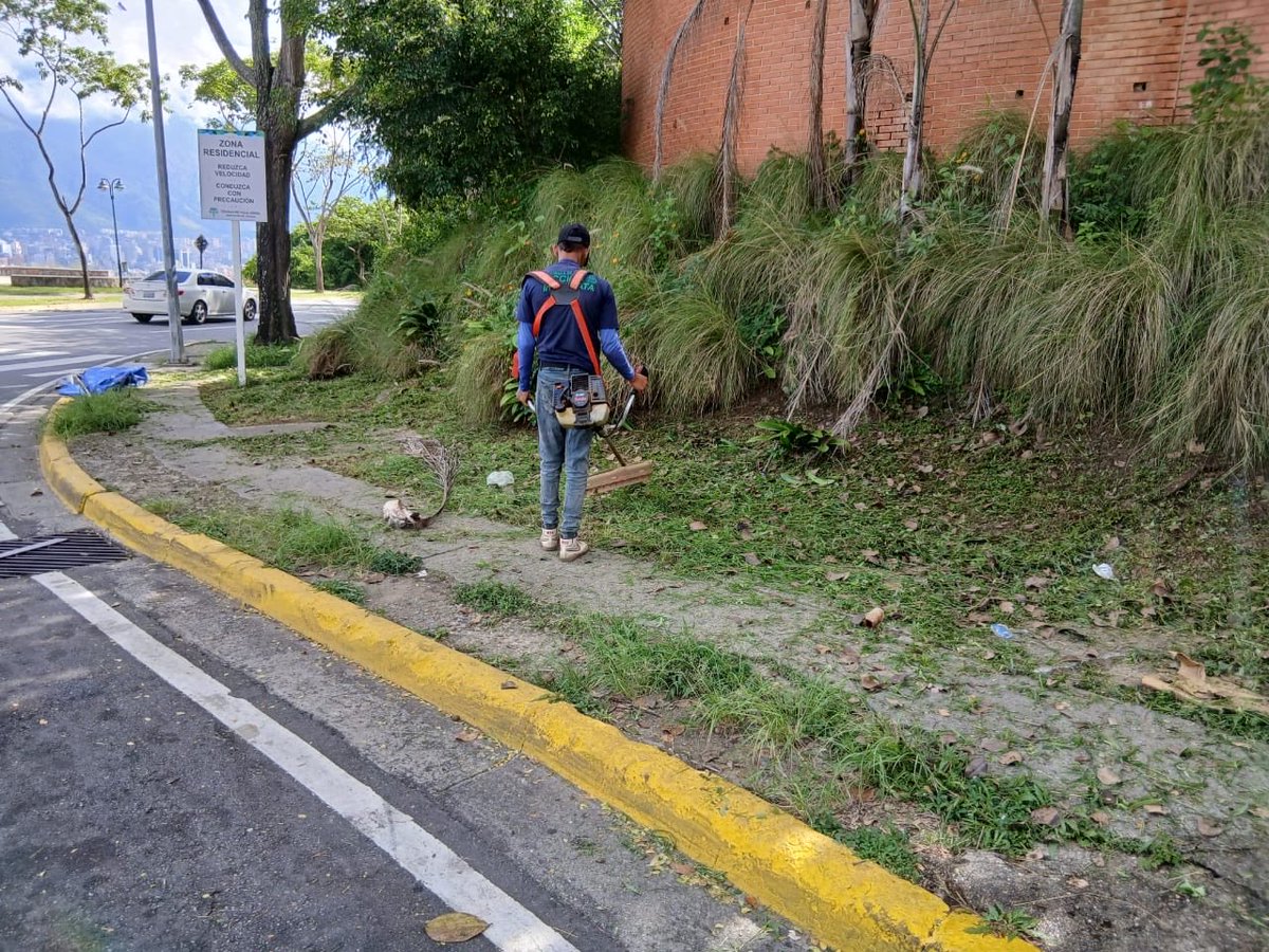 AlcaldiaBaruta's tweet photo. 🍃Limpieza y desmalezado:
📍Urb. #ColinasDeValleArriba https://t.co/RDlzF8MIx0