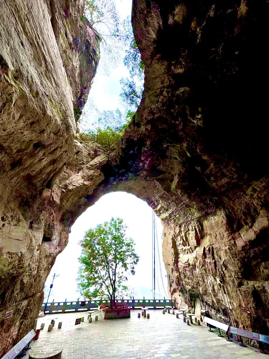 breadchen4's tweet image. 4night5days 5places to china only 1000$ 
per head count！ drop me msg if interested！
Hotel kingsize bed4night，
entry tickets to 3places
full meals ，plus one luxury buffet
SUV delivery and fetch
whole trip guiding you n accompany you till local airport！