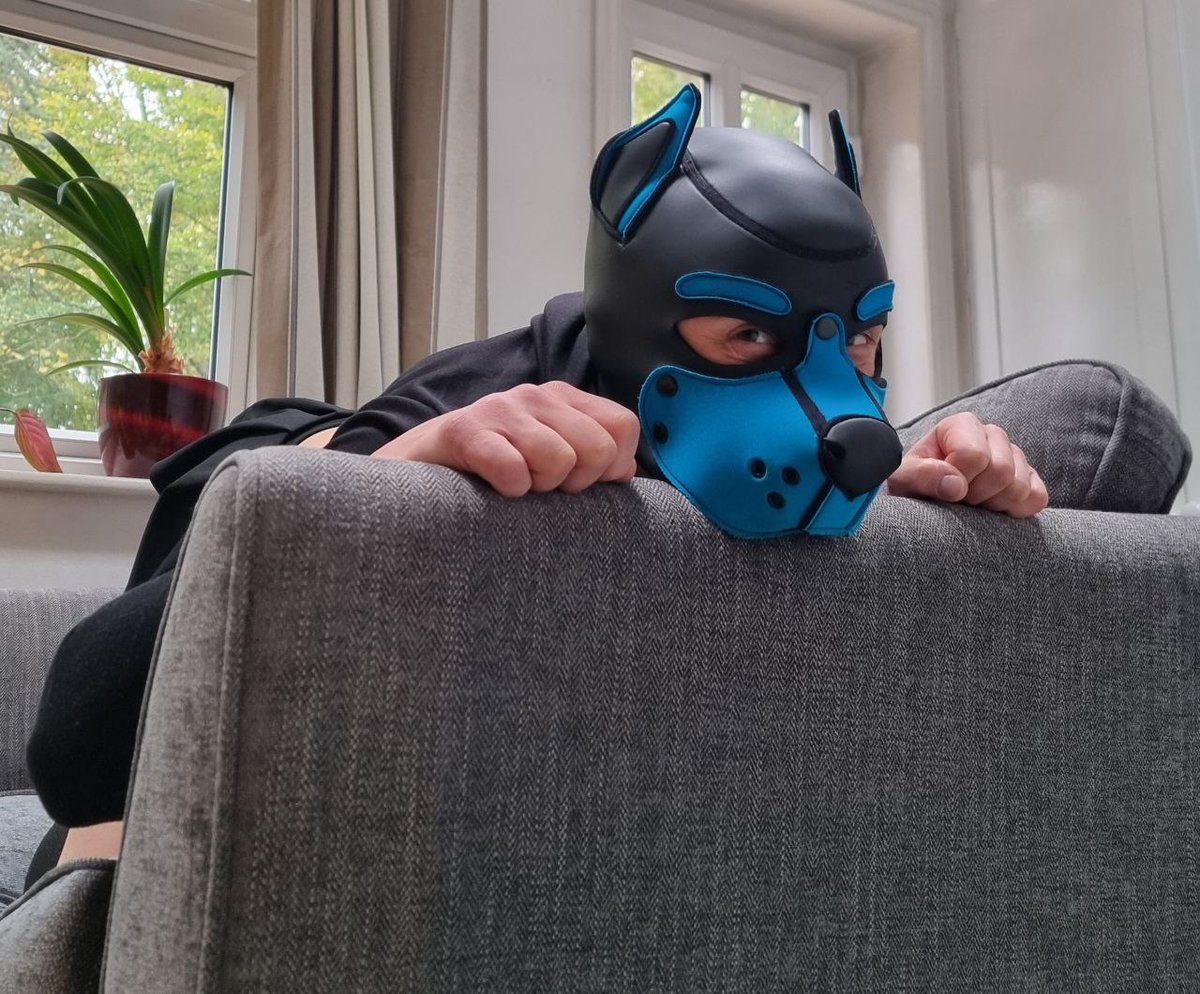 👻GhostPup🐕 tweet media