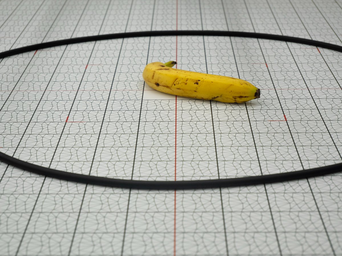 theoringstore's tweet photo. 28.56" O-Ring vs Banana for Scale

A banana serves as the ultimate informal scale. Here, it shows the diameter of this O-Ring against our calibrated Olypsys® Large Format grid. https://t.co/2K2WWmhQ61