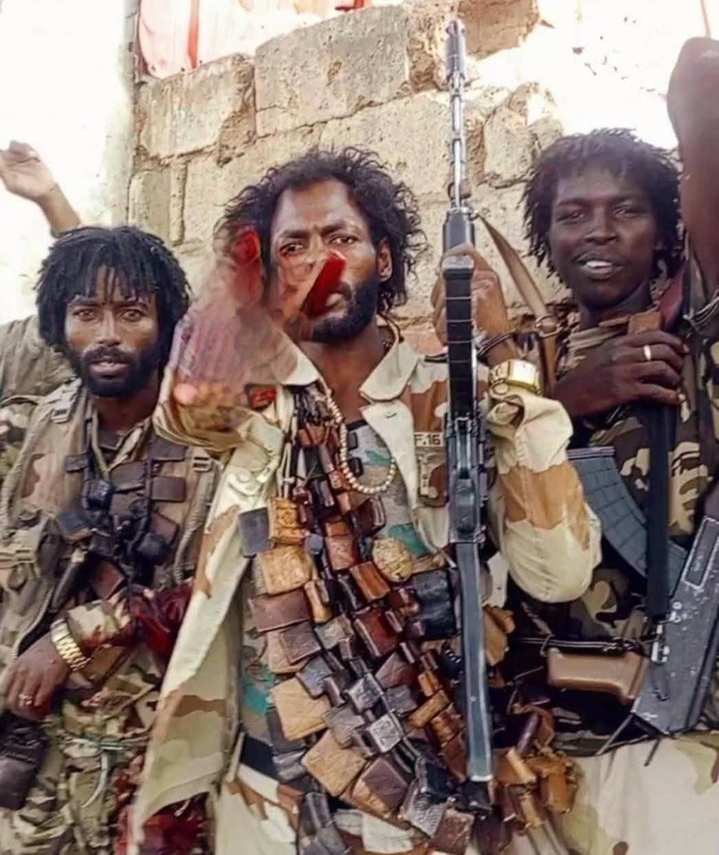 وصف الكاتب السوداني بركة ساكن
في إحدى رواياته 
الجنجويد بلغة رفيعة ودقة مؤلمة حين قال :
"قومٌ عليهم ملابس متسخة مشربة بالعرق والأغبرة، يحيطون أنفسهم بالتمائم الكبيرة، لهم شعور كثة تفوح منها رائحة الصحراء والتشرد،
رضعوا من ثدي الشمس الحارقة، ونشأوا على القتل
لا خلق ولا أخلاق لهم