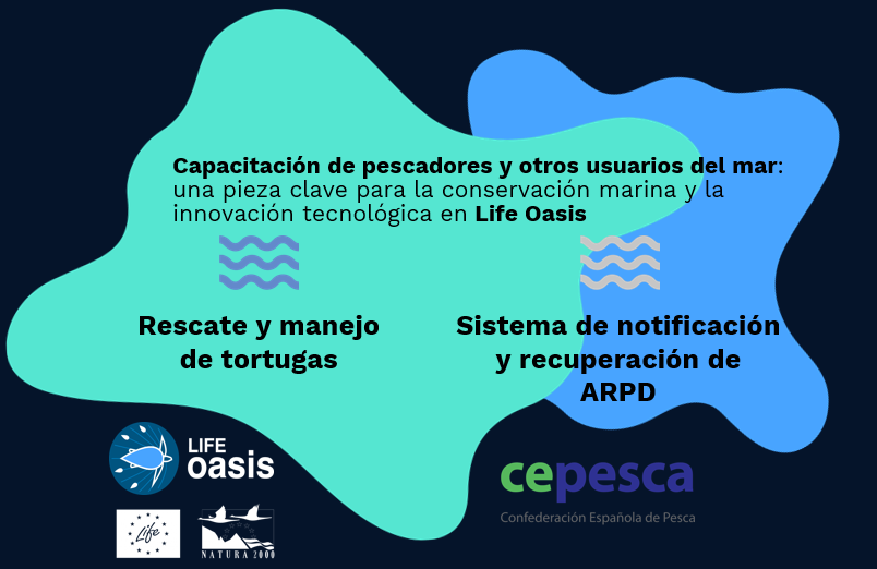 CEPESCA's tweet photo. En #LIFEOasis CEPESCA con Alnitak y @CSIC forman a #pescadores y otros usuarios del mar🌊en rescate tortugas marinas y notificación #ARDP

💡Formación, innovación y compromiso por un #Mediterráneo mejor

#Natura2000 #EUFunding #LIFEAmplifier https://t.co/p1bTsQJsdR @LIFEprogramme https://t.co/zUVR2UnsxE