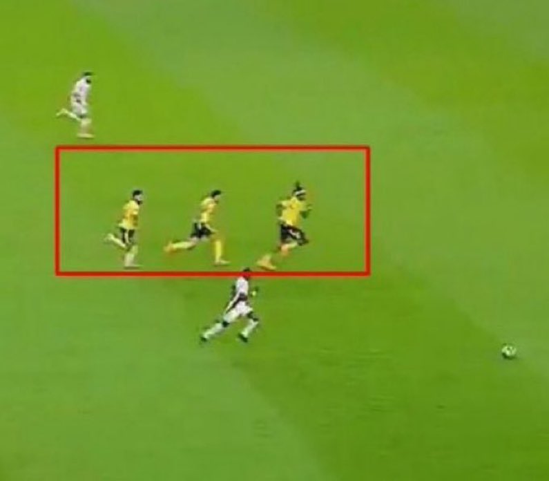 وين رايحين ذولي