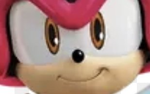 This has been fucking me up for a long time... 🦔🐝

Charmy bothers me everytime I look at him.

Like, what are the rules here?
Insects can have a mammalian nose ?
 Can other non nosed mobians also have a mammalian nose?