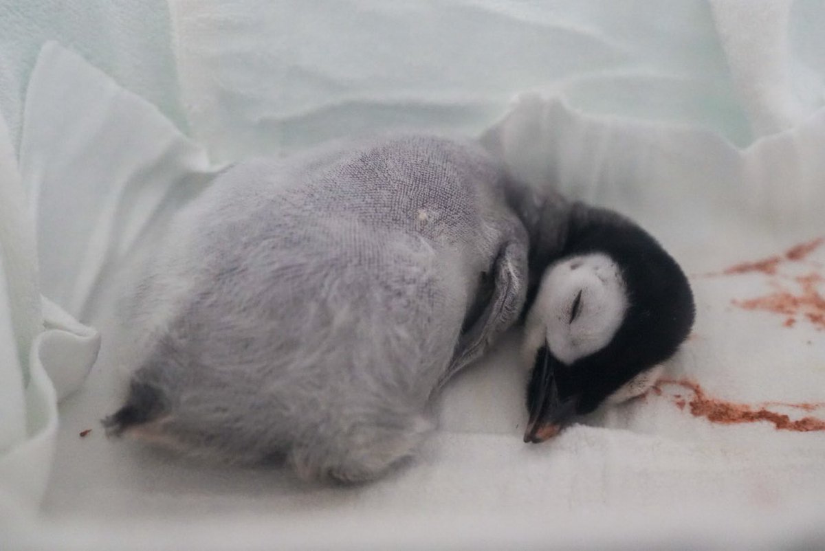 Haruページ ペーパーホルダー SE-507-A01 (SE-507-A01-XC) | Products