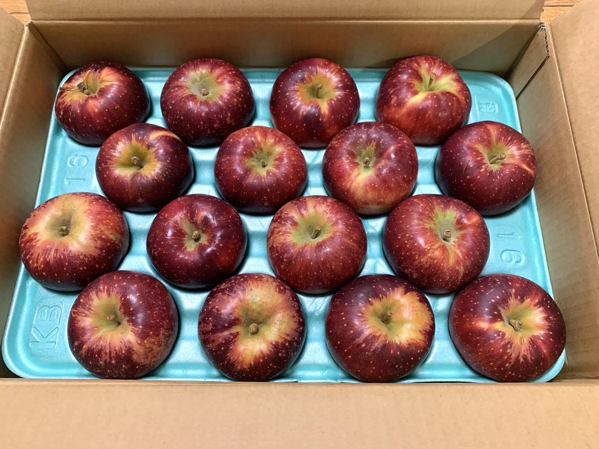 つじきくこ💙💛🇺🇦 on X