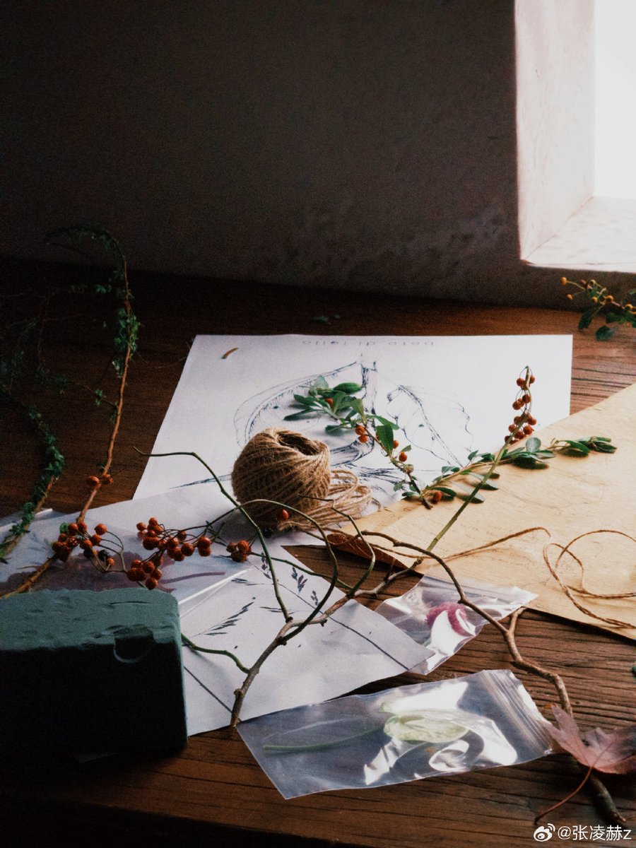 ELLE, may your year be filled with sunshine energy, golden days, and the kind of happiness that glows from the inside out. Here’s to more adventures, smiles that never fade, and memories that shine brighter than the sun it's self.