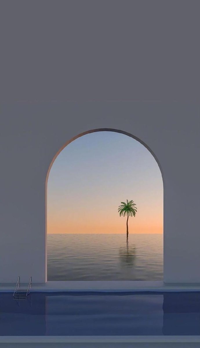 davidolowo4's tweet image. 易しい花 🐟