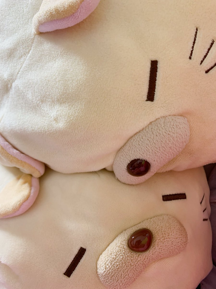 ユノモモ＠にゃもち中毒 (@yunoichigo) / Posts / X