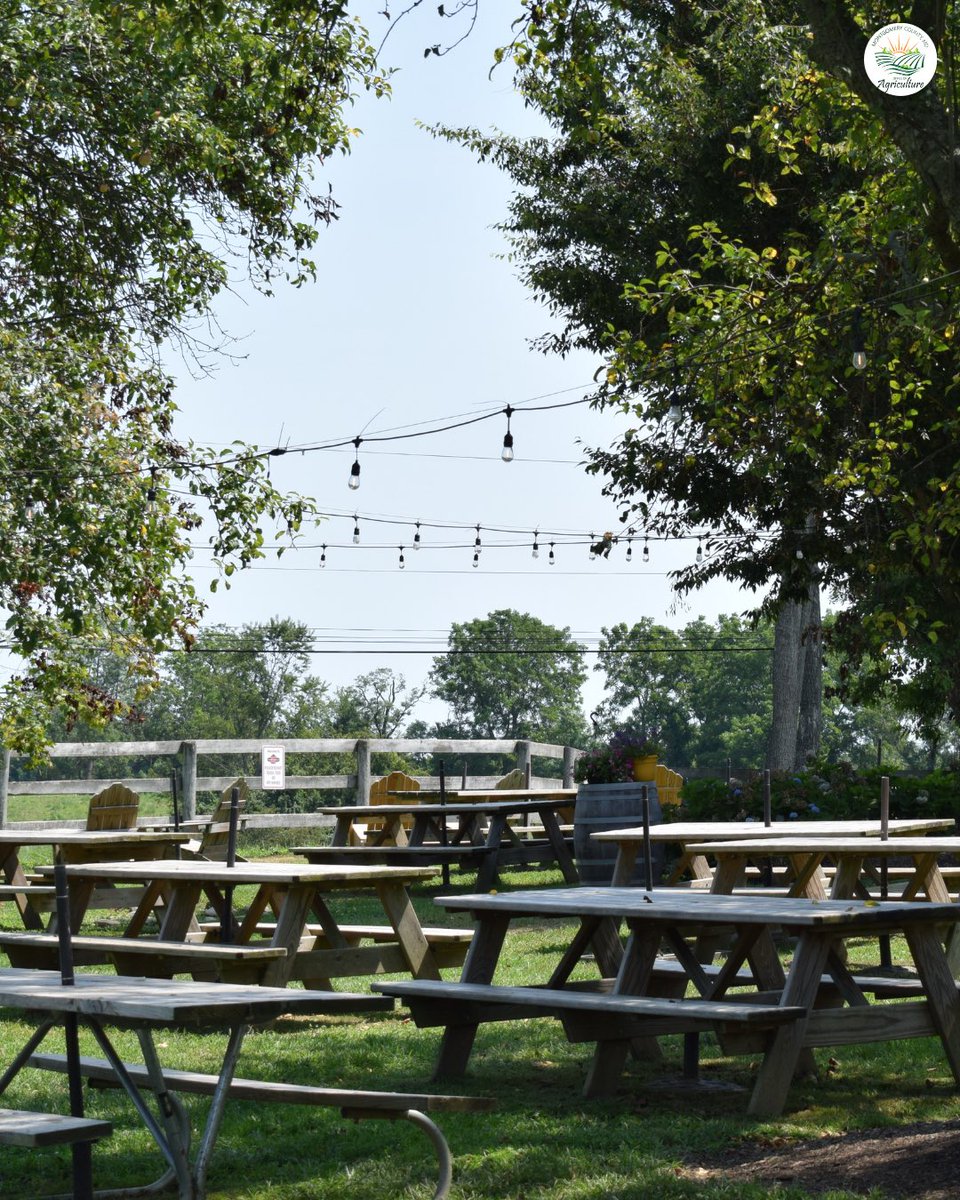 MoCoOAG's tweet image. Farms aren’t just for growing food—they’re where our community gathers 🌳✨ Montgomery County farms create spaces for neighbors, families, and friends to connect.#MoCoMade #FarmLife #RusticCharm #FarmersMarketVibes #CommunityRoots #MarylandAgriculture