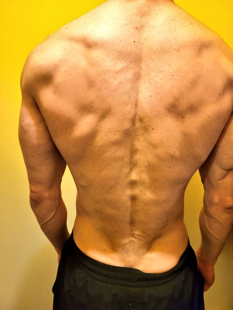 polskixxx's tweet photo. Are my Alpha shoulders broad enough for you bitches? I need a fucking back rub. #Str8Alpha #Str8Daddy #PolishDaddy #str8muscle #bigshoulders #worshipMe #bigPolishCock #Str8Master #boxerBody https://t.co/WhSjIyVmXF