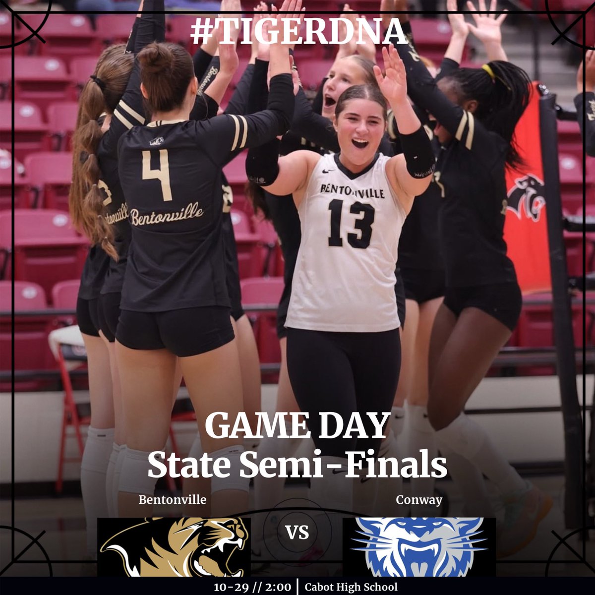 BHS Athletics #TigerDNA tweet media