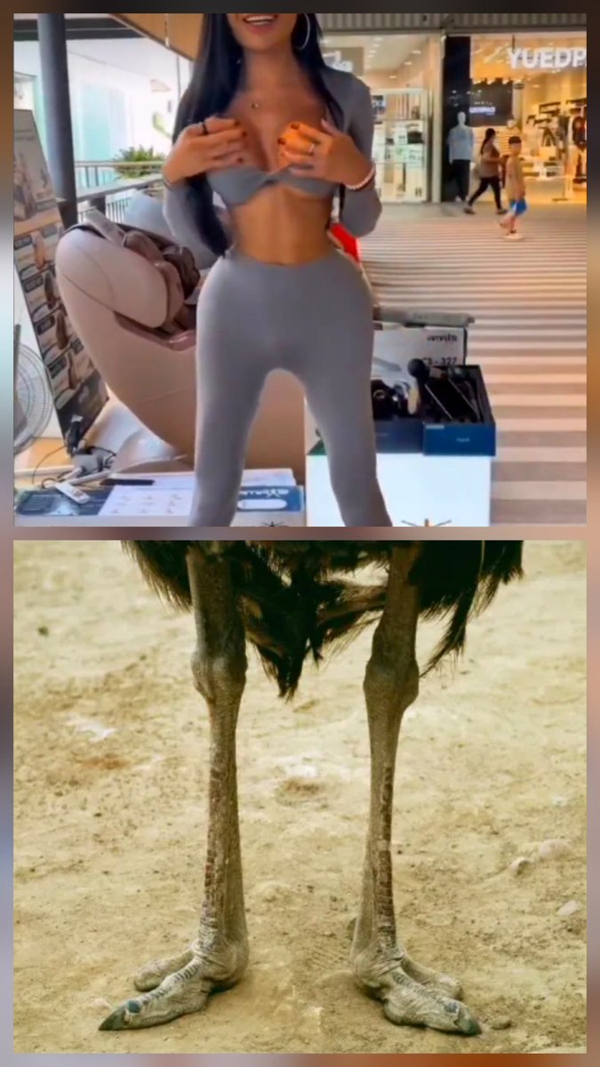 <a href="/ZOrtiz99/">💥LoLo💥</a> Why this dude built like an ostrich? 

#TransMadness