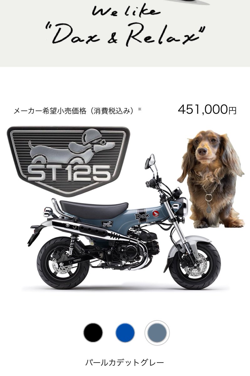 sckm27's tweet photo. PCX卒業らしいです
(パパからお昼に突然「バイク屋にいる」と連絡がありました)
近々新しいおもちゃがうちにきます!!!
Dax125🏍️
何気に私も嬉しい🩶
カスタムするのかなー?
#ホンダ #HONDA #st125 #jb06 #ダックス https://t.co/r4bModvyeP