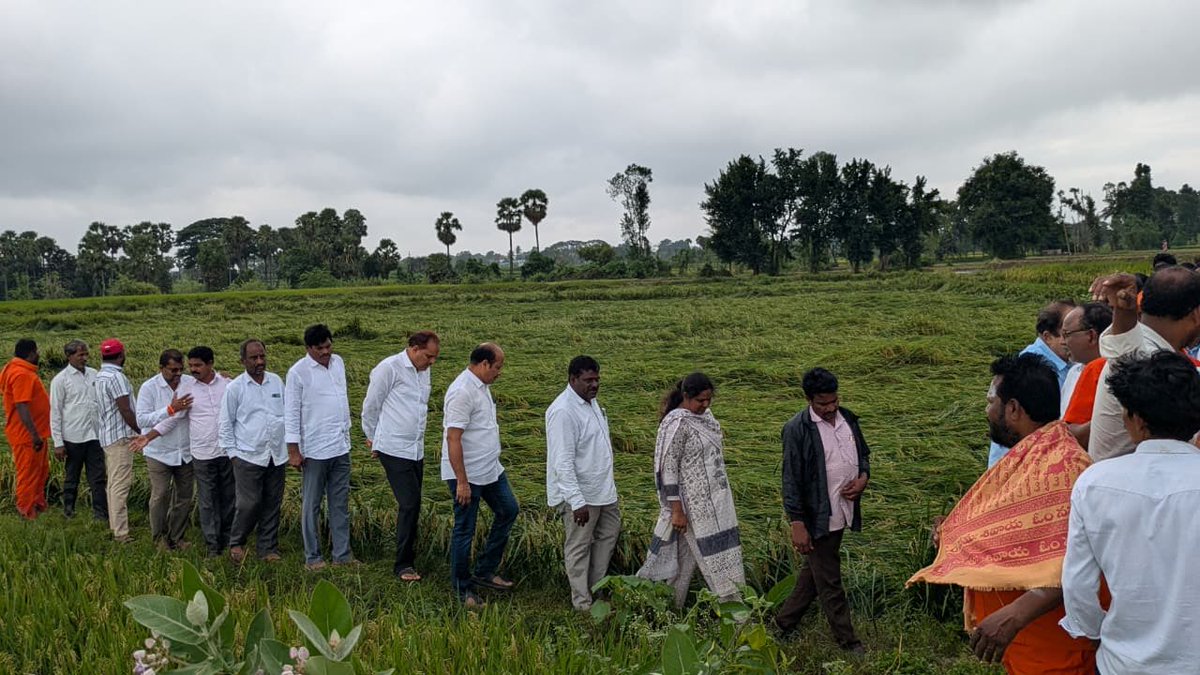 YSRCParty's tweet photo. 🚨 #TDPAntiFarmers

విజయనగరం జిల్లాలో రాజాం అసెంబ్లీ నియోజకవర్గ పరిధిలో లక్ష్మీపురం గ్రామంలో అన్నదాతలకి అండగా నిలిచిన జిల్లా పరిషత్ చైర్మన్,జిల్లా వైయస్సార్ కాంగ్రెస్ పార్టీ అధ్యక్షులు మజ్జి శ్రీనివాసరావు (చిన్న శ్రీను), రాజాం అసెంబ్లీ నియోజకవర్గ ఇంచార్జ్ డా. రాజేష్ తలే.

రాజాం రూరల్ మండలం లక్ష్మీపురం గ్రామంలో తుఫాన్ కారణంగా ధ్వంసమైన పంట పొలాలను పరిశీలించిన జిల్లా పరిషత్ చైర్మన్,జిల్లా వైయస్సార్ కాంగ్రెస్ పార్టీ అధ్యక్షులు మజ్జి శ్రీనివాసరావు (చిన్న శ్రీను), రాజాం అసెంబ్లీ నియోజకవర్గ ఇంచార్జ్ డా. రాజేష్ తలే. నష్టపోయిన పంటకి పరిహారం ఇప్పించేలా ప్రభుత్వంపై వైయస్‌ఆర్‌సీపీ తరఫున ఒత్తిడి తెస్తామని రైతులకి హామీ.

తుఫాన్ నేపథ్యంలో పంట నష్టపరిహారం సంబంధిత వివరాలు తెలుసుకుంటూ, రైతులకు ధైర్యం చెబుతూ రాజాం అసెంబ్లీ నియోజకవర్గ ప్రజలకు,పలు గ్రామాలలో పర్యటన చేసిన జిల్లా పరిషత్ చైర్మన్,జిల్లా వైయస్సార్ కాంగ్రెస్ పార్టీ అధ్యక్షులు మజ్జి శ్రీనివాసరావు (చిన్న శ్రీను), రాజాం అసెంబ్లీ నియోజకవర్గ ఇంచార్జ్ డా. రాజేష్ తలే మరియు వైయస్ఆర్ కాంగ్రెస్ పార్టీ రైతు విభాగం నాయకులు, రాజాం రూరల్ మండలం నాయకులు.

ఈ సందర్భంగా చిన్న శ్రీను గారు మాట్లాడుతూ పంట నష్ట పరిహారం నమోదు పారదర్శకంగా జరగాలని, అట్లాగే విరిగిన చెట్లను, కరెంటు స్తంభాలు, వైర్లను యుద్ధ ప్రాతిపదిగిన తొలగింపు చర్యలను చేయాలని అధికారులకు సూచించారు..
ఈ కార్యక్రమంలో రాజాం అసెంబ్లీ నియోజకవర్గ పరిశీలకులు కె.వి.సూర్యనారాయణ రాజు పులి రాజు, రాజాం మండల పార్టీ అధ్యక్షులు లావేటి రాజగోపాల్ నాయుడు,జడ్పీటీసీ బండి నర్సింహులు, వైస్ ఎంపీపీ నక్క వర్షిణి మోహన్, లక్ష్మీపురం గ్రామ సర్పంచ్ మరియు వైయస్ఆర్ కాంగ్రెస్ పార్టీ ఇతర విభాగాల నాయకులు పాల్గొన్నారు.