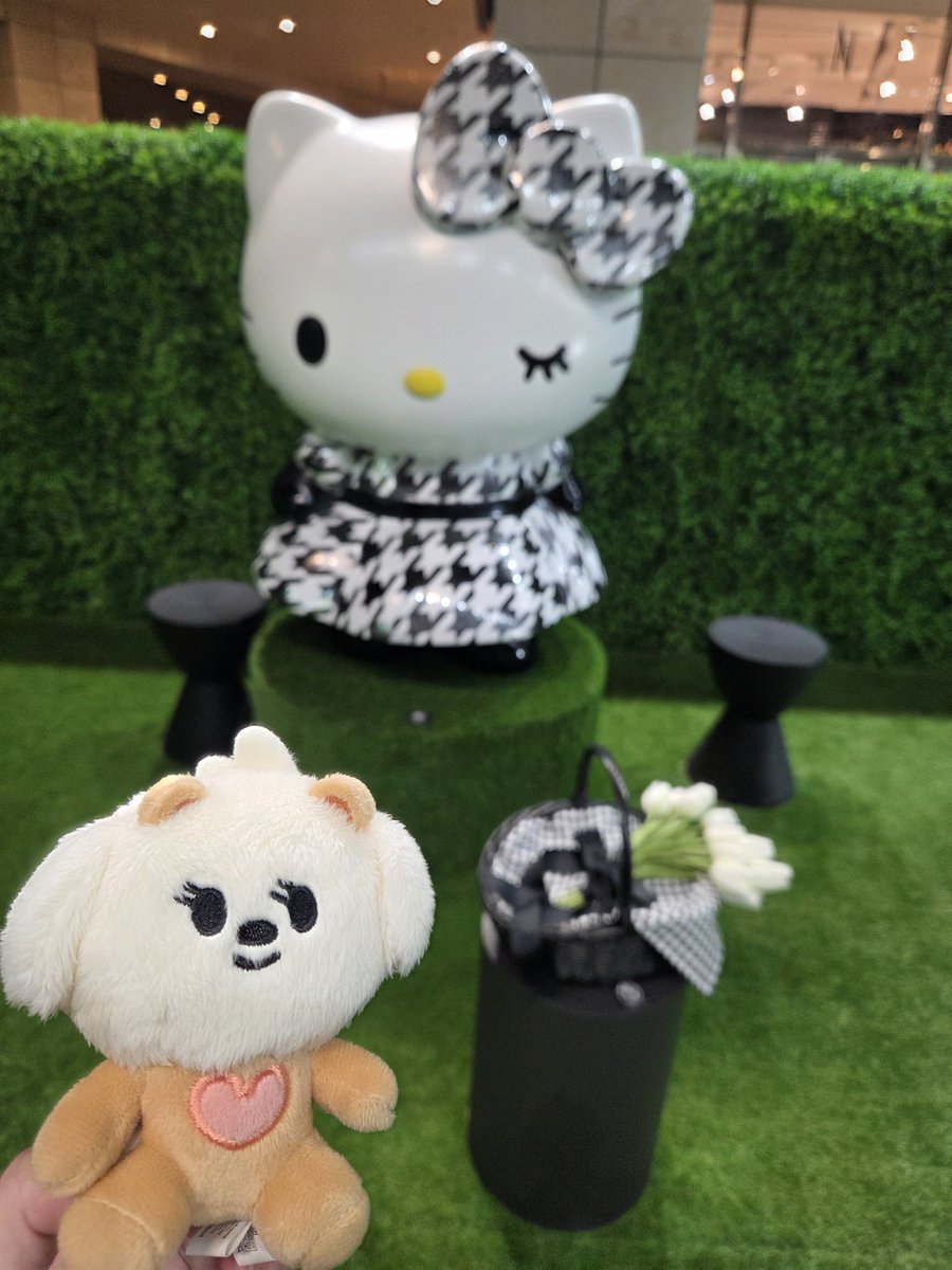 kiyopooh282's tweet photo. ボムギュが行ってみて!って言ってたから行ってきたよ🎵
キティちゃんかわいかった🖤
香りも素敵だった~🎀✨
#TXT #BEOMGYU
#TXT_Starkissed #Starkissed
#HelloKittyWeek #HelloKittyDay #HELLOKITTYSPICNICGARDEN https://t.co/G4GTxUHIw5