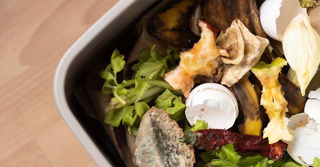 🌿 Da materia orgánica dos fogares da Coruña nace un novo comezo: compost que volve á 🌱 terra para darlle vida.

♻️ O que desbotamos convértese en abono grazas aos composteiros municipais e á colaboración da veciñanza.

Cada xesto conta 💚