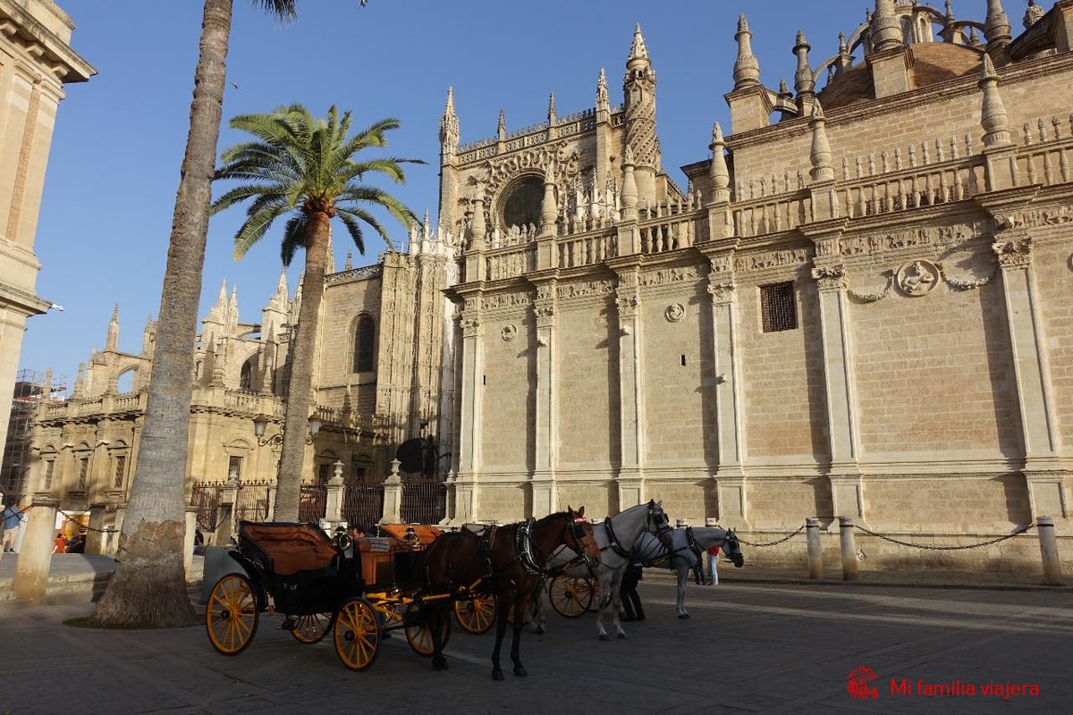 mfamiliaviajera's tweet photo. 📌 #Sevilla es historia, arte y espiritualidad.

Descubre sus monumentos y el legado de Santa Teresa de Jesús en lugares como Las Teresas o el Santo Ángel.

➡️Más información: https://t.co/PHHoFcfFK8

#Sevilla #SantaTeresaDeJesús https://t.co/wri3f5t3r6