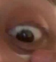 chulran's tweet photo. ᚱ𐌏ᚢ𐌃𐌄 2

🐍🕯️🔺🅿️🔺  🎋🔺♓   🅿️📧〽️🕯️👠🕯️🎋   〽️🔺🌴🔺  🥁🕯️🌀🔺🧸🔺®️ ❓️

REP 19.40-19.47 https://t.co/qGQVfCgOr0