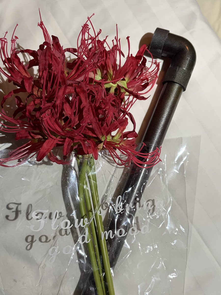 実はパイプも用意しましたが
🗣️：すみません…これ、知らない人から見ると武器に見えてしまうのでNGです
🌰：…確かに武器ですけど（小声