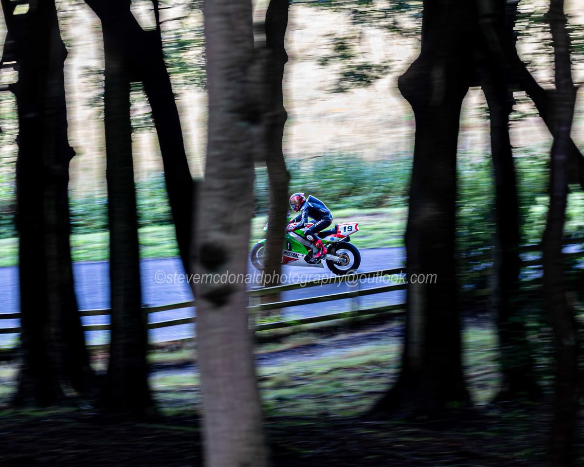 Stevemc1613's tweet photo. #WheelieWednesday in the woods with #joeyeardsley @MountOlivers #stevemcdonaldphotography https://t.co/ltdSVqMCOZ